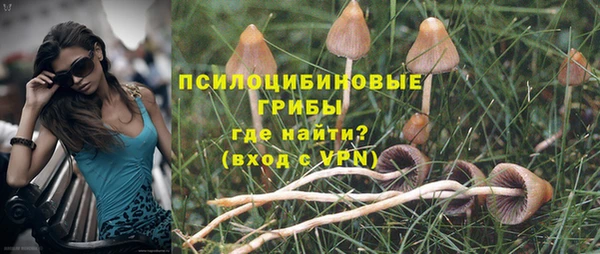 эйфоретик Богородск