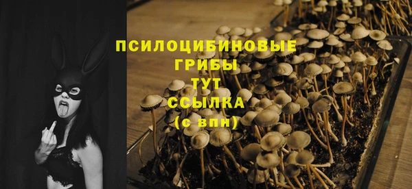 герыч Бугульма